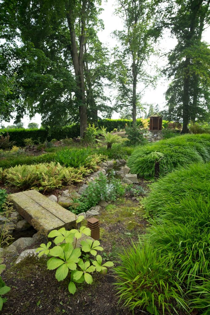 Green woodland garden design