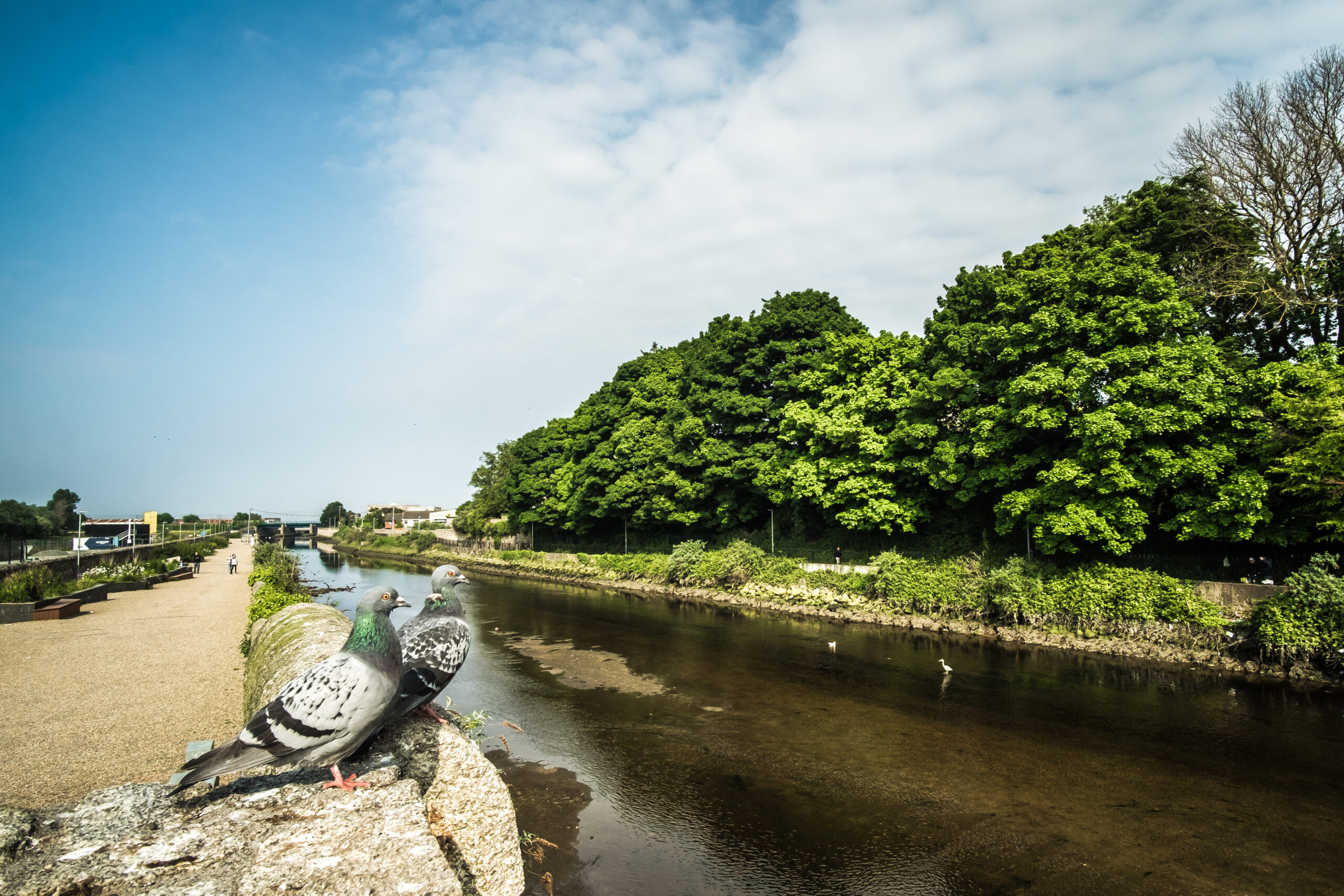 Views along the river walkway