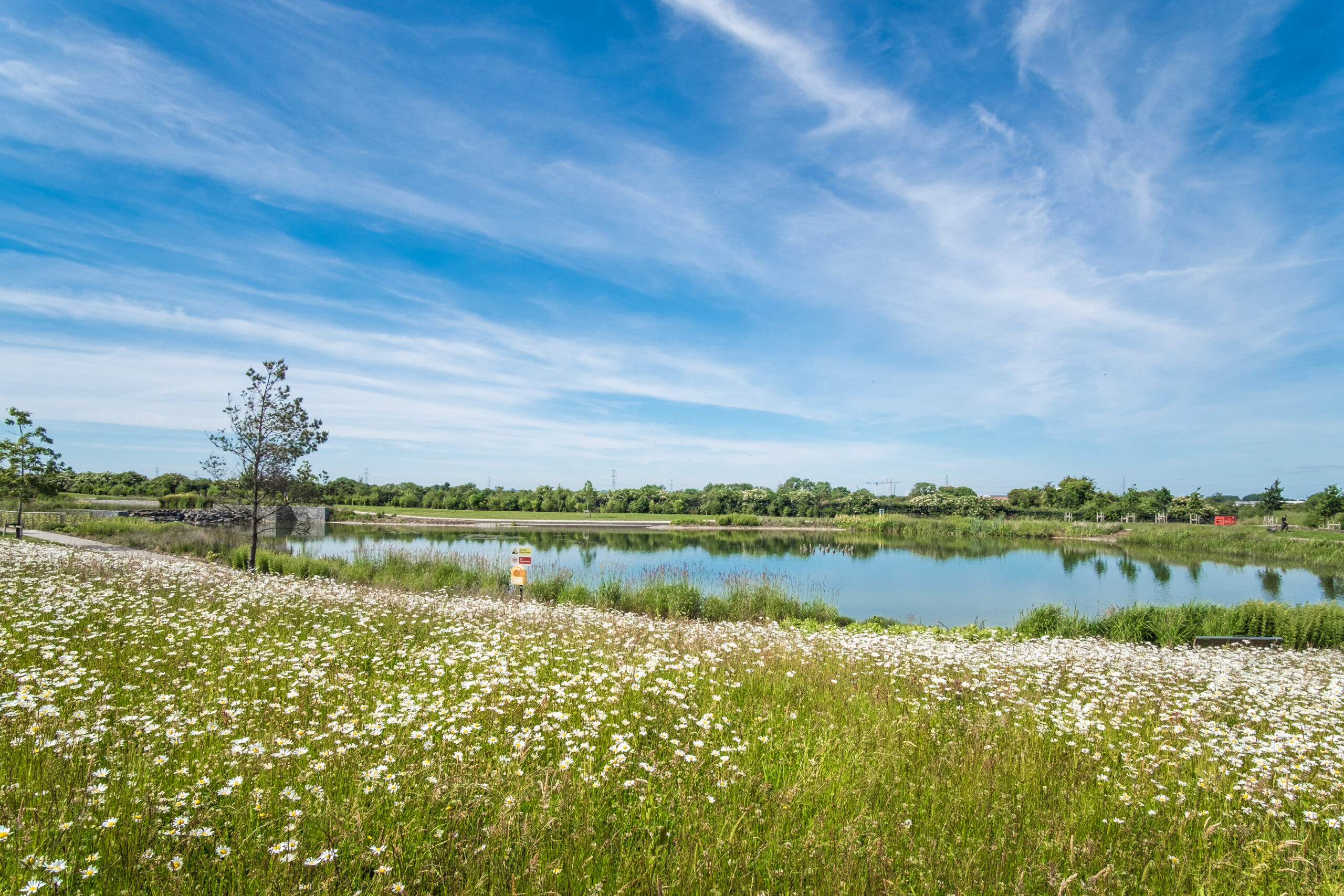 Attenuation Lake and Wildflower areas