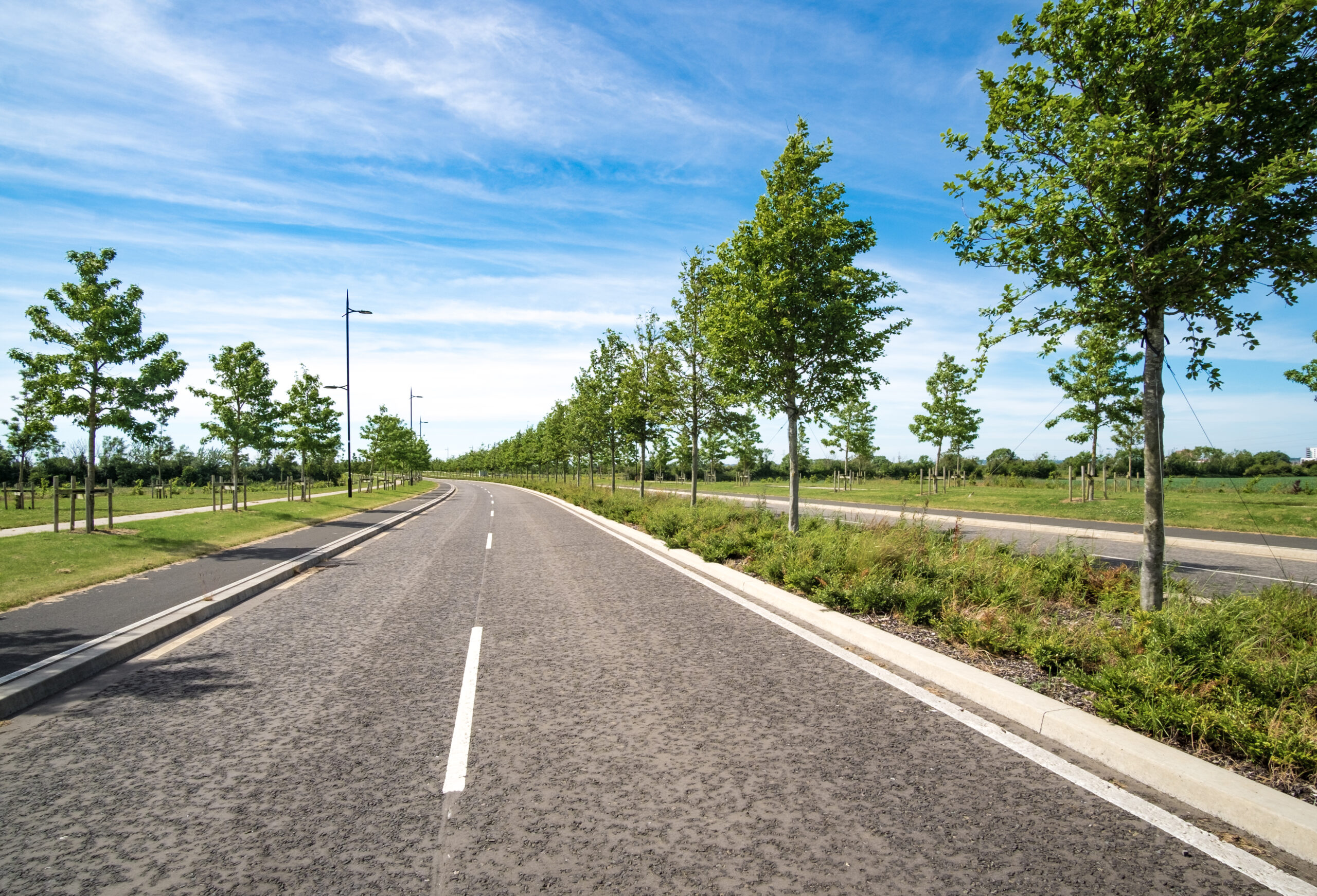 Greening the central median