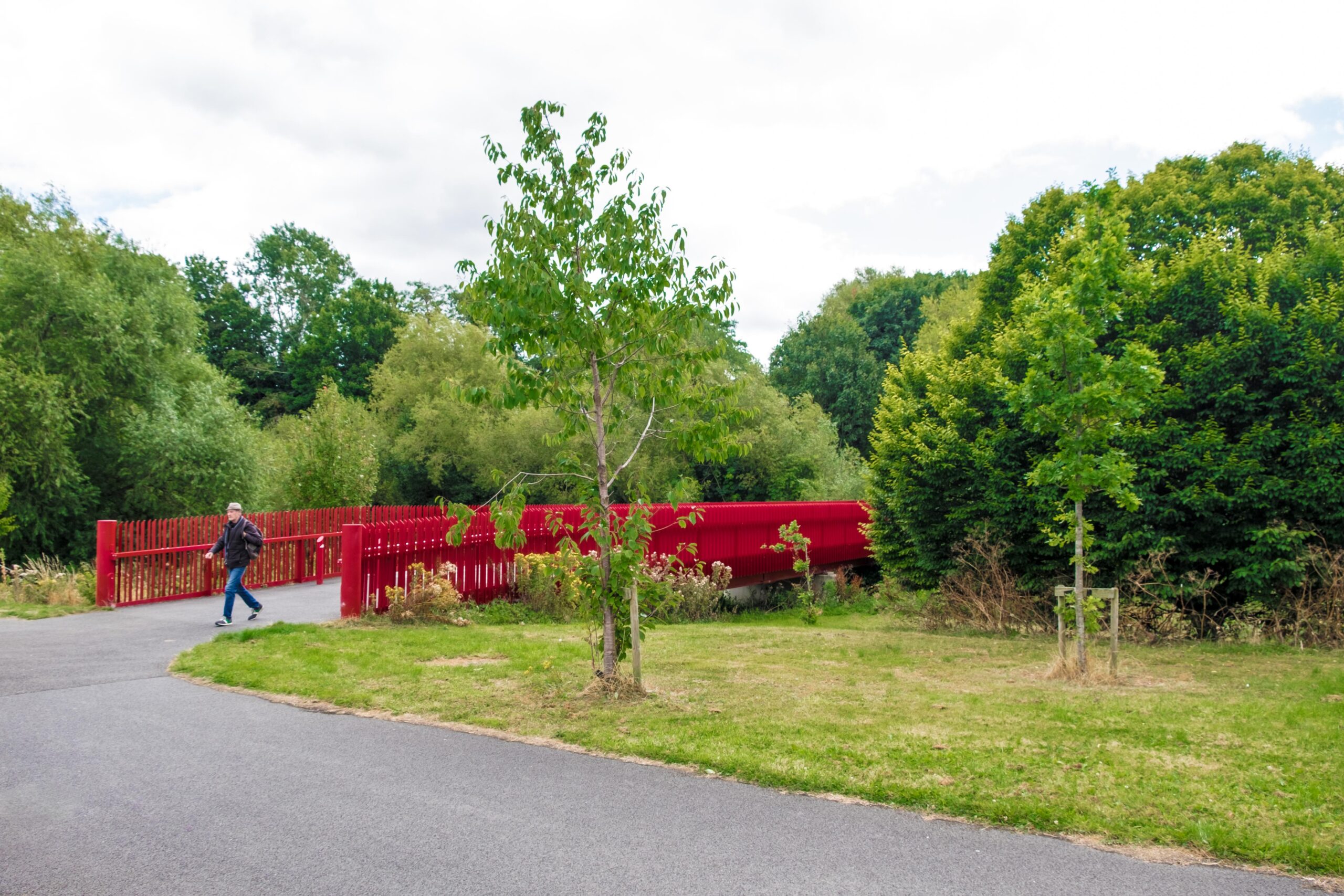 Red Bridge through Dodder Park