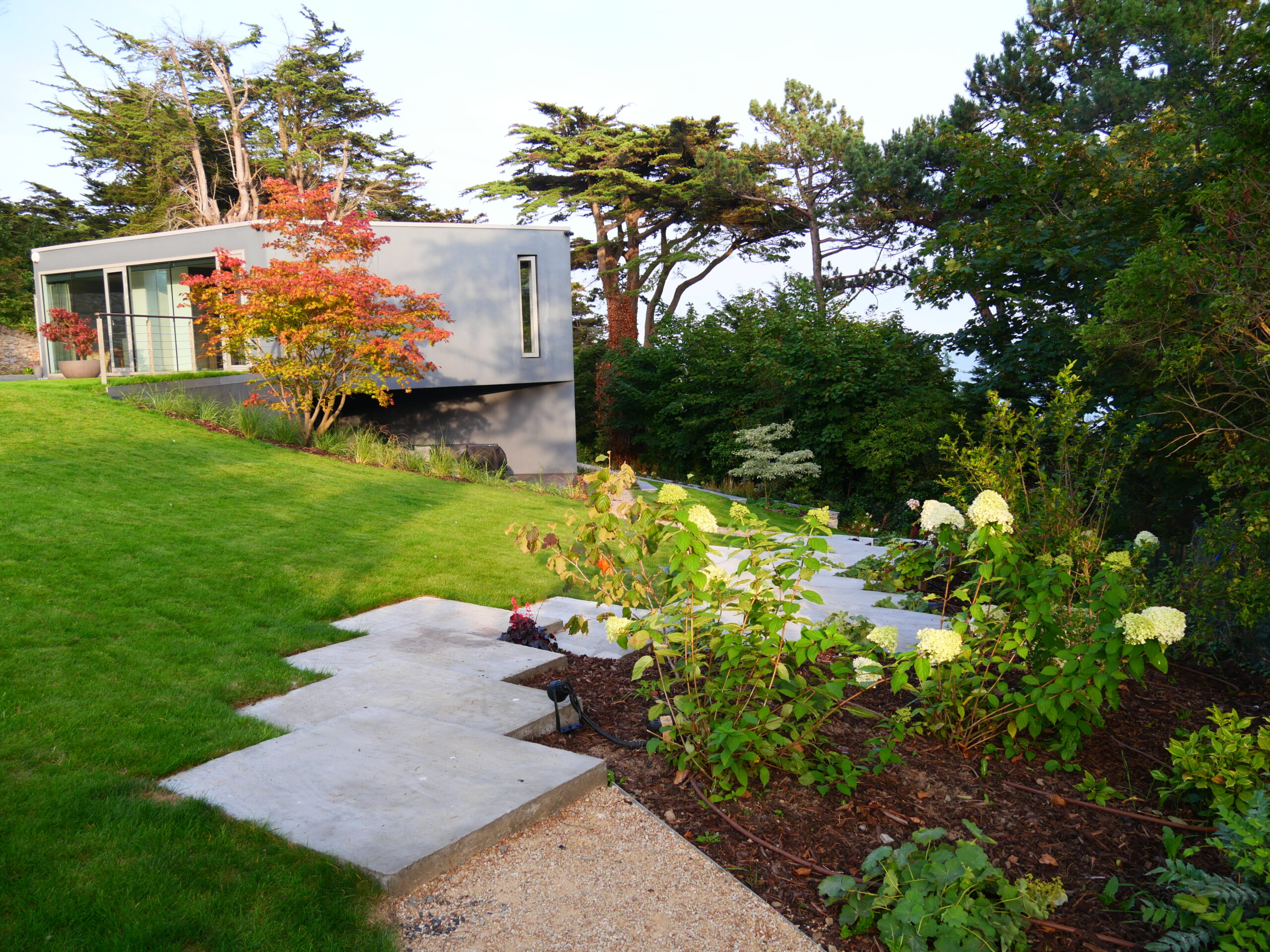 Architectural house within a steep sloped garden