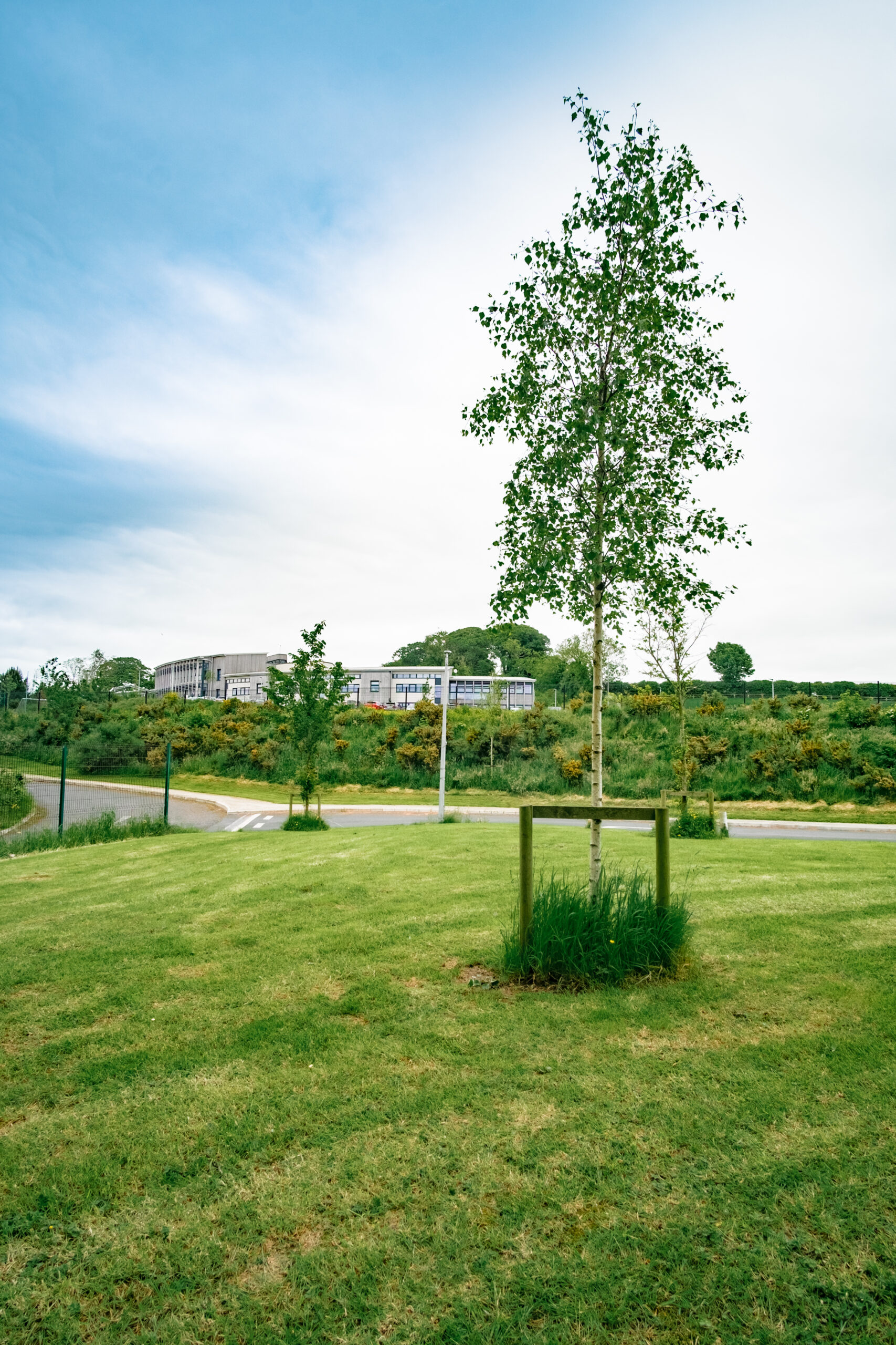 Landscape Design