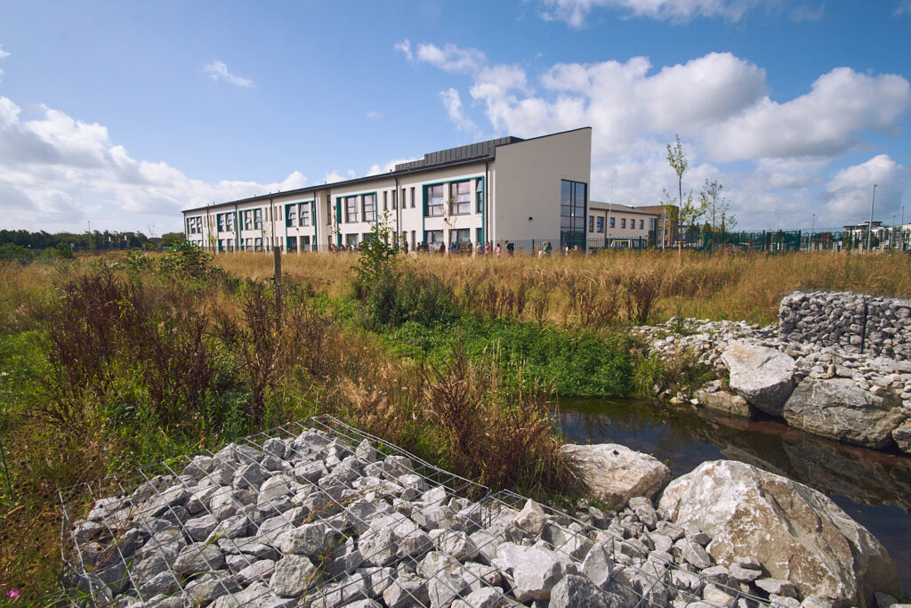 Regenerative and Natural Planting